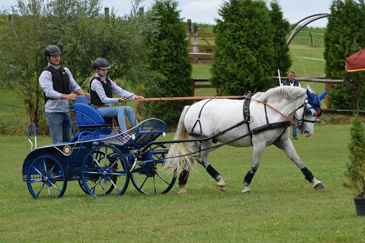 Semické derby