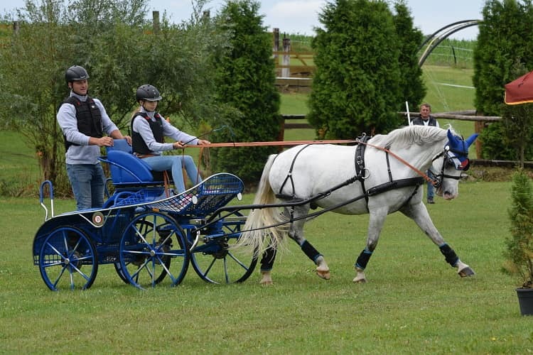 Semické derby